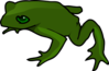 Simple Green Frog Clip Art